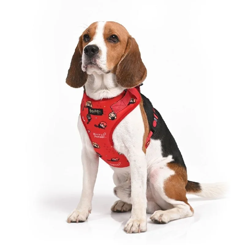 Harry Potter - Friends of Harry Potter Harness