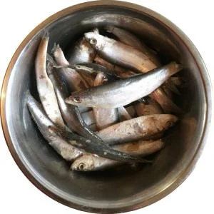 Nutriment Fresh Sprats 1kg