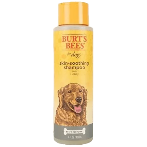 Skin Soothing Shampoo with Honey - Burt’s Bees