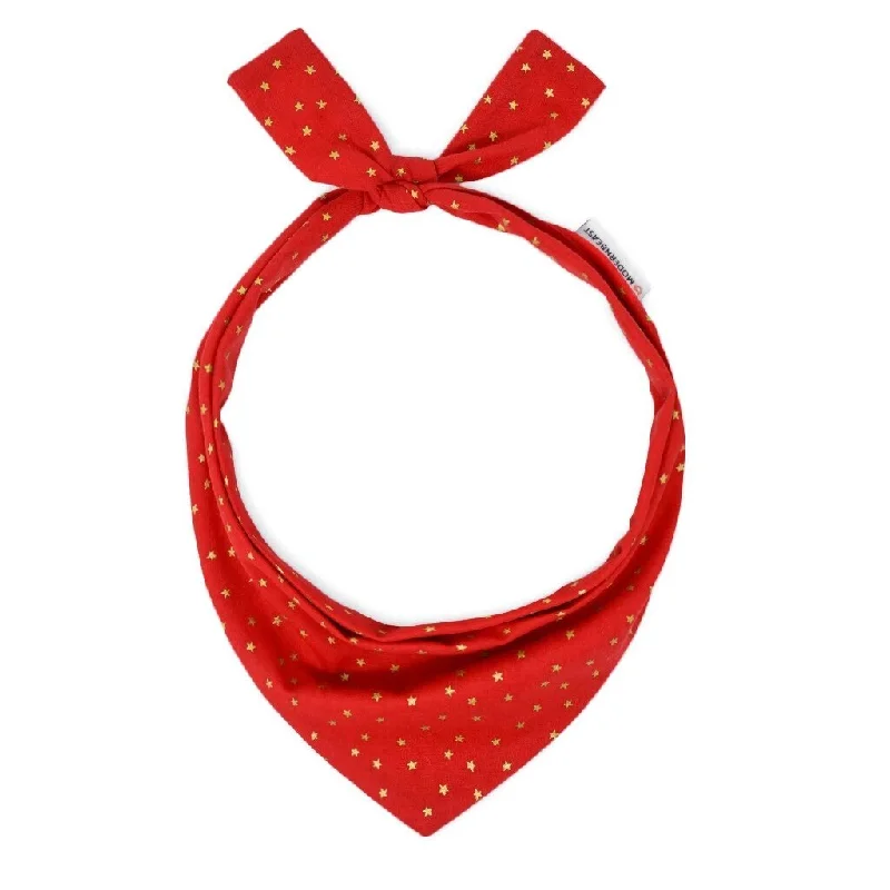 Holiday Dog Neckwear Jolly