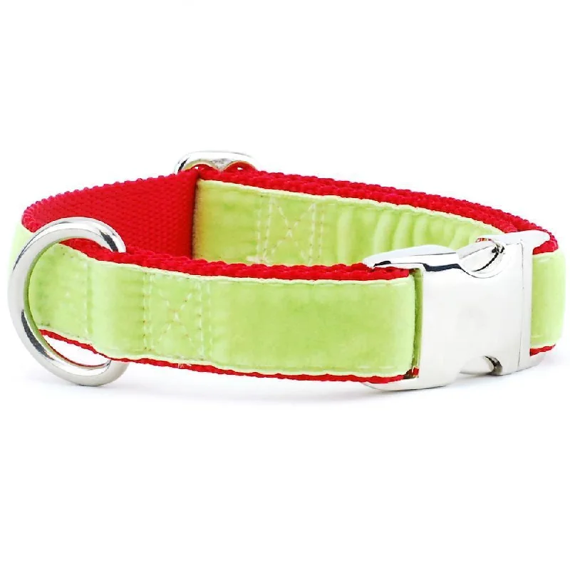 Velvet Essential Dog Collar Lime Green/Red Holiday